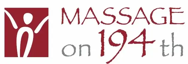 website logo